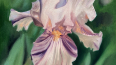 Image(s) copyright © 2026 Sarah Cassani. All rights reserved.