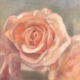 Image(s) copyright © 2026 Sarah Cassani. All rights reserved.