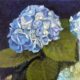 Image(s) copyright © 2026 Sarah Cassani. All rights reserved.