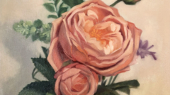 Image(s) copyright © 2026 Sarah Cassani. All rights reserved.