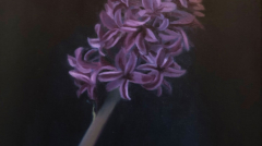 Image(s) copyright © 2026 Sarah Cassani. All rights reserved.