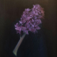Image(s) copyright © 2026 Sarah Cassani. All rights reserved.