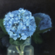 Image(s) copyright © 2026 Sarah Cassani. All rights reserved.