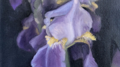 Image(s) copyright © 2026 Sarah Cassani. All rights reserved.