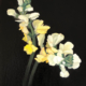 Image(s) copyright © 2026 Sarah Cassani. All rights reserved.