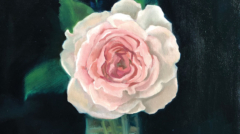 Image(s) copyright © 2026 Sarah Cassani. All rights reserved.