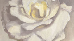 Image(s) copyright © 2026 Sarah Cassani. All rights reserved.