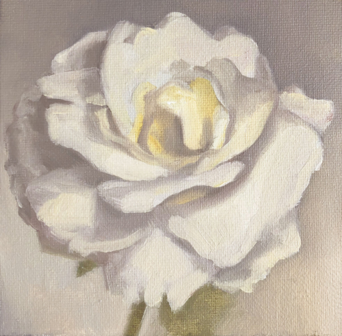 Image(s) copyright © 2026 Sarah Cassani. All rights reserved.
