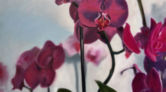 Image(s) copyright © 2026 Sarah Cassani. All rights reserved.